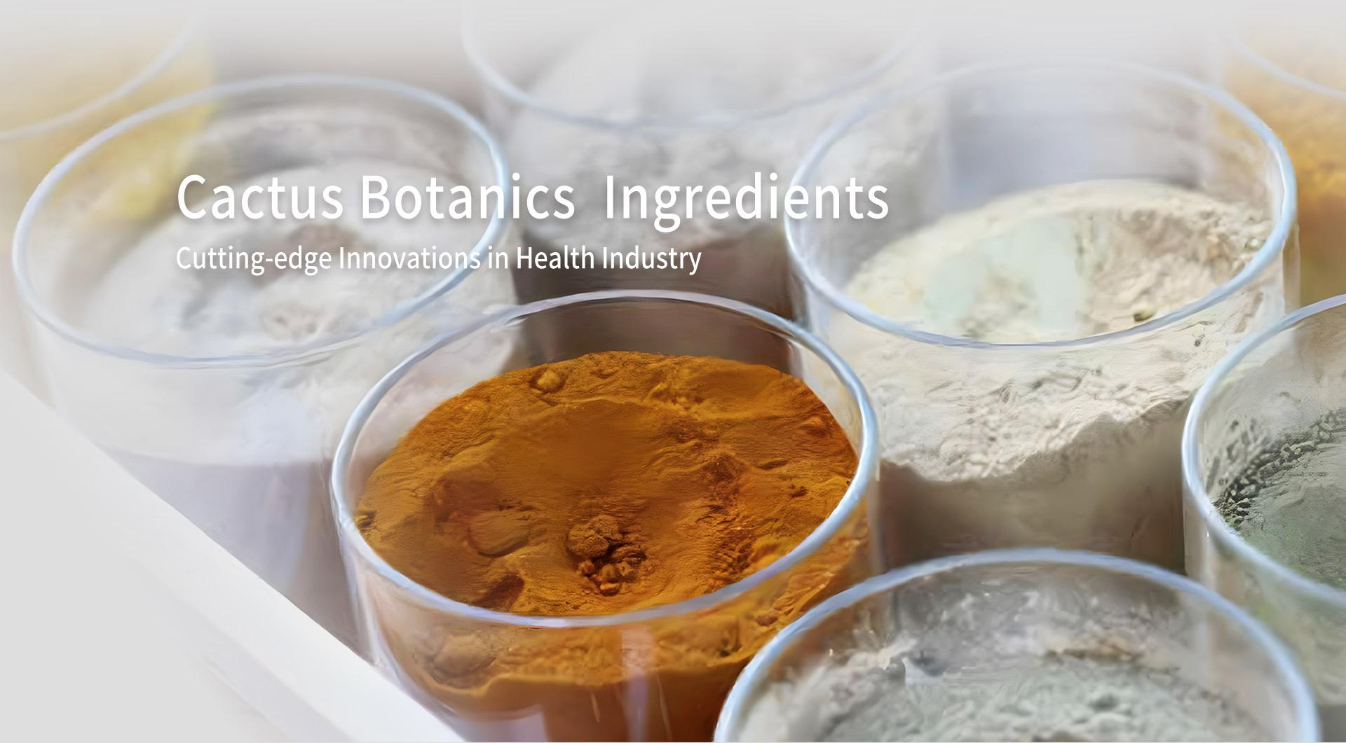 Sodium Hyaluronate Hyaluronic Acid Powder for Dietary Supplements