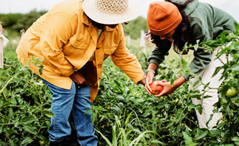 Raw material sourcing partnerships established in 2006