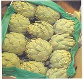Artichoke Leaf Extract Powder