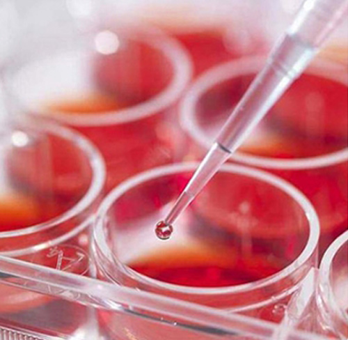 Astaxanthin Softgels Finished Product